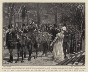 Cornwall hercege és hercegnője Fokvárosban, a Basuto Ponies, amelyet Dél-Afrika gyermekei mutatnak be